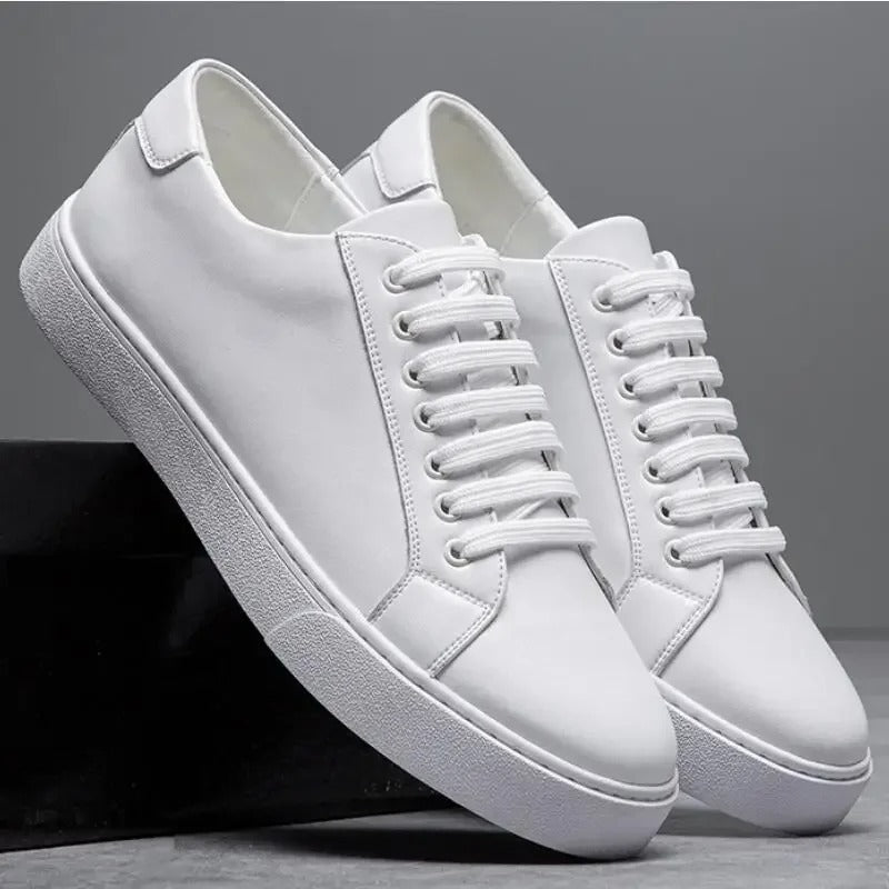 Franco | Heren Sneaker
