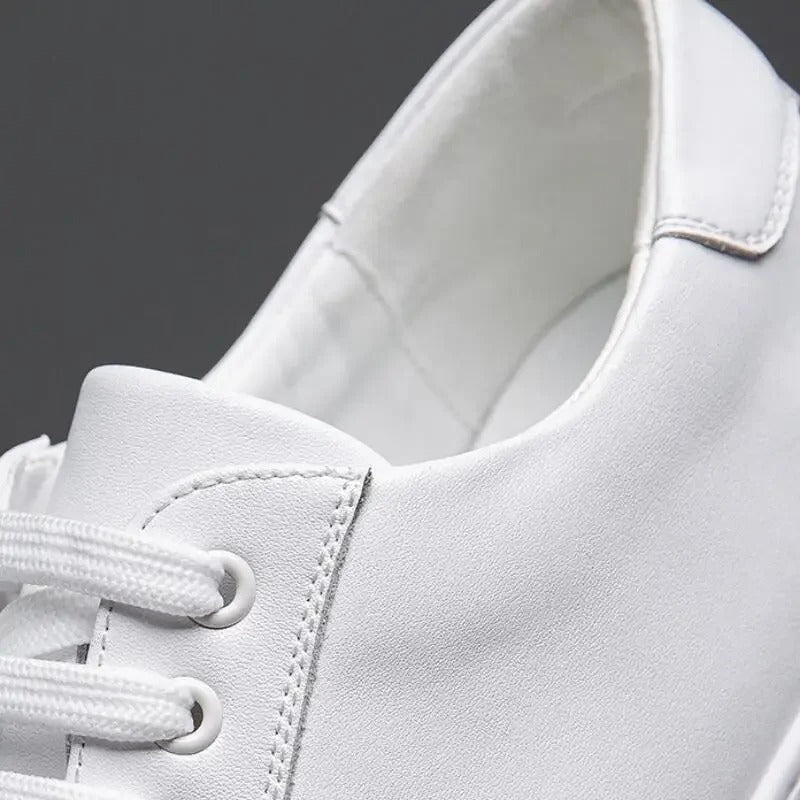 Franco | Heren Sneaker
